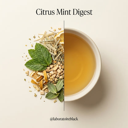 CITRUS MINT DIGEST